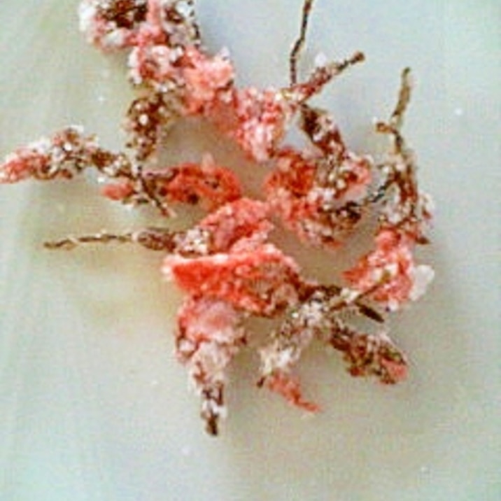 桜の塩漬け